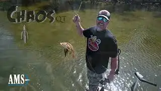 AMS Chaos QT Bowfishing Point in Action