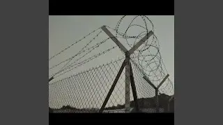 Το σκότος πόσο;