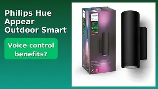 REVIEW (2025): Philips Hue Appear Outdoor Smart Wall Light. Features.