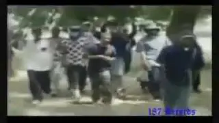 Crips - i'm crippin