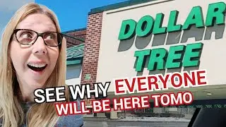 DOLLAR TREE SHOP with ME Brand New Arrivals you NEED TO SEE! ONLY $1.25 WON'T LAST