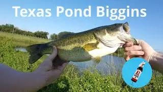Catching Texas Pond Biggins Before Work #fishing #outdoors
