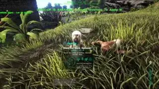 ARK: DoDont