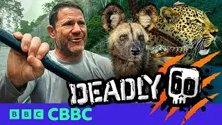 NEW: Deadly 60 | Official Trailer | Watch now on BBC iPlayer | CBBC