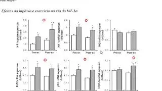 Apresenta&ccedil;&atilde;o | Twin resemblance in muscle HIF-1&alpha; responses to hypoxia and exercise