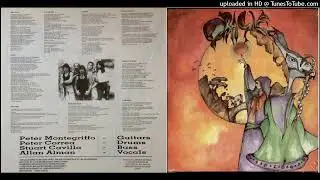 Oracle-Oracle