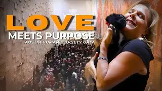 Dogs Walk the Red Carpet at Austin Humane Society Gala with Nicole Cooper