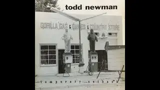 Todd Newman - Temporary Setback (POWER POP / INDIE ROCK / ALT-COUNTRY)