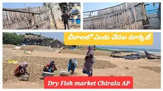 #Dry Fish Market in Chirala|| AP||BRRaoVlogs