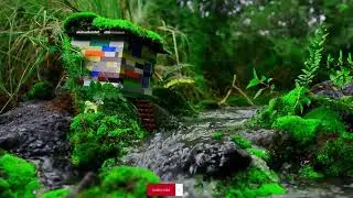 Beautiful Relaxing sounds - Stop Overthinking, Stress Relief stream, Sleep Music, Calming Music