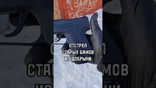 Аэрозольный пистолет Добрыня. Отстрел старых БАМов