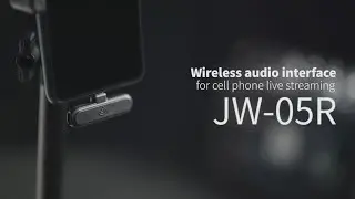 JOYO JW-05R Wireless Audio Interface