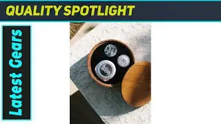 The Beatles Stabilizer Set: Essential for Vinyl Fans