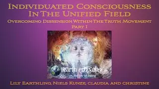 Individuated Consciousness Within The Unified Field
