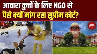 Supreme Court Stray Dogs के लिए NGO और Dog Lovers से पैसे क्यों मांग रहा है? | Top News | Breaking