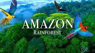 Unveiling Amazon's Unsolved Mysteries #mumbai