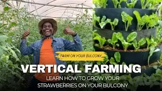 Vertical Strawberry Farming: Use of Multi-storey Gardening for Urban Farming