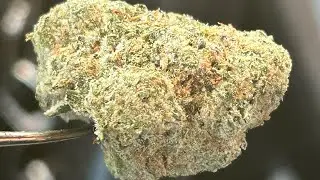 Smoke and Ride | Cannabis Creation | Redemption Mafia Funeral | Jungle Juice Live Resin | 