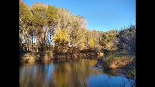 Reflets dans l'Eau  -- Claude Debussy