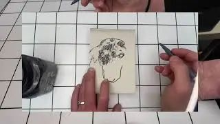 CLONING MY DOG - Fundraiser for Agi! Day NINETEEN.