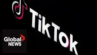 TikTok prepares for US shutdown if ban becomes official