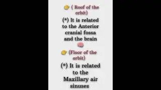 Orbit of the eye/ Foramina and fissures of the orbit/ Yt studio bones of the skull/Part - 2 /  💯💯💯💯💯