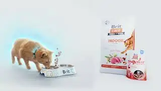 BRIT Care Cat - Indoor - anti-stress cat dry food