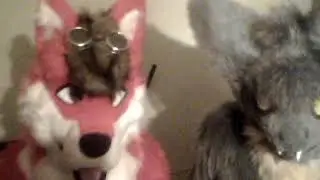 Maxamilion and Xaivior wish you a Happy New Year