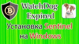 Watchdog Expired. Установка Sentinel для мастерноды на Windows