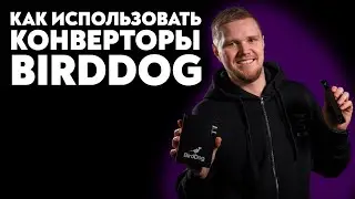 Как использовать BirdDog Studio NDI, Mini, 4K, Flex 4K, камеры P100 и P400 | Обзор продуктов BirdDog