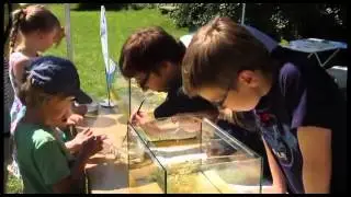 Sommerfest an der Biologischen Station mit rundem Geburtstag (Center-TV)