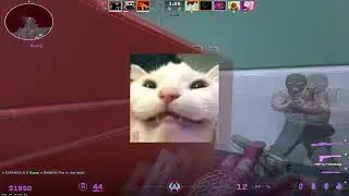 i hit a 290.00 LJ in cs2!!1!