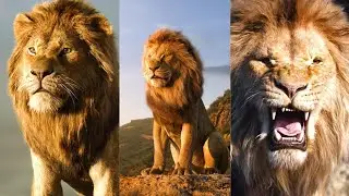 4K WHATSAPP STATUS VIDEO |3D| WHATSAPP STATUS KING OF FOREST LION