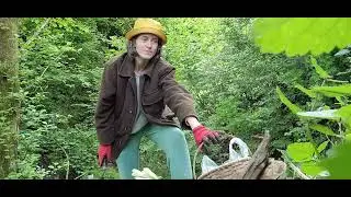 Forest Soil Secrets: How to Replant Hazelnut Shoots | HazelHearts.xyz Guide