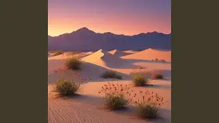 Shimmering Sunset