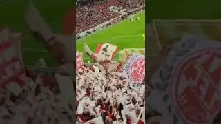 Europapokal❤️🤍 #effzeh #stadion #fu&szlig;ball #europapokal #fans #ultras #uefa