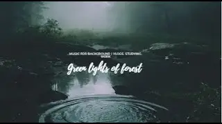 Green lights of forest | LOFI Music | BACKGROUND, WORK, STUDYING Playlist | dark ambient music mix