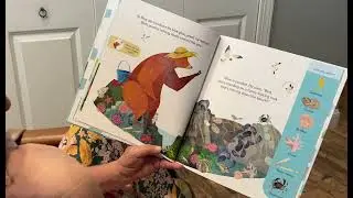 Bear and Bird Explore the Seashore