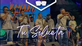 Tu Silueta en vivo - La del Treinta (Cover)