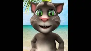 Talkinfag Tom video  1