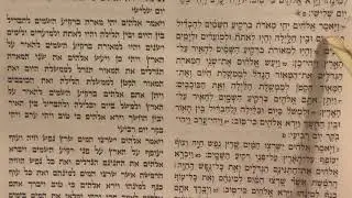 Bereishis Sheini – Western Ashkenaz