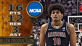 Koa Peat - 16 Pts, 12 Reb, 3 Ast, 2 Blk Full Highlights｜Arizona Wildcats vs UConn Huskies｜2025.11.19
