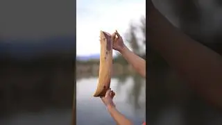carving wooden bowl from elm wood #asmr #woodworking #woodcarving #woodenart #diy #handmade