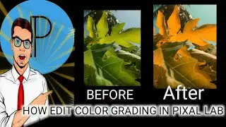 How Make Color grading in Pixal Lab App