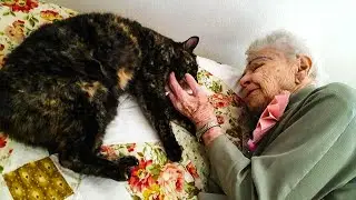 Elderly Woman And Her Cat Were So Inseparable That They Passed Away On Same Day