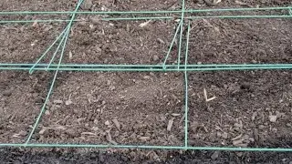 INCORPORATING THE SQUARE FOOT GARDENING METHOD BY MEL BARTHOLOMEW