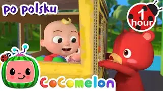 Koła Autobusu 🚌 Wersja Zabawy! Śpiewaj, Ruszaj się i Ucz | CoComelon