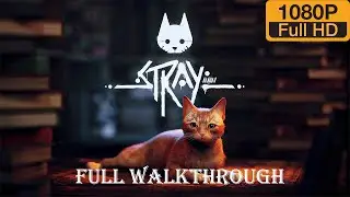 STRAY | FULL Gameplay walkthrough PC FULL HD [ENDING]