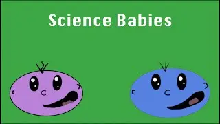 Distribution of resources - Science project 2022 | Camille and Sewit