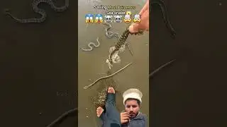 Snake Trapping| Snake Rescue#snake​ #snakevideo​ #facts​ #snakes​ #cobra​ #rescue​ #shorts​ #amazing
